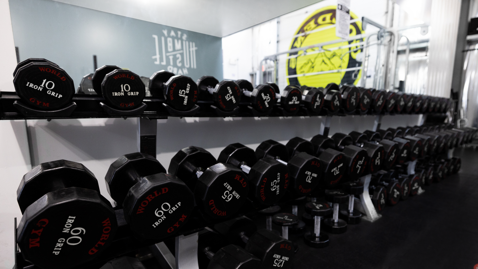 Golden's Gym Rack